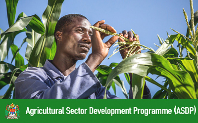 Agricultural Sector Development Programme (ASDP)