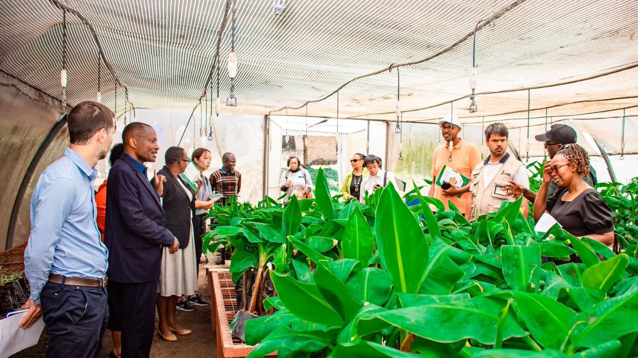 BENKI YA DUNIA, IFAD NA JICA WAKAGUA MAENDELEO YA TFSRP KWA KUSHIRIKIANA NA SERIKALI
